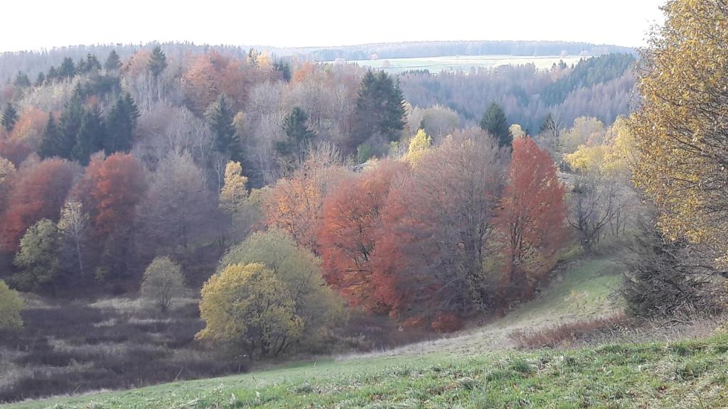 Talsperre Ratscher
