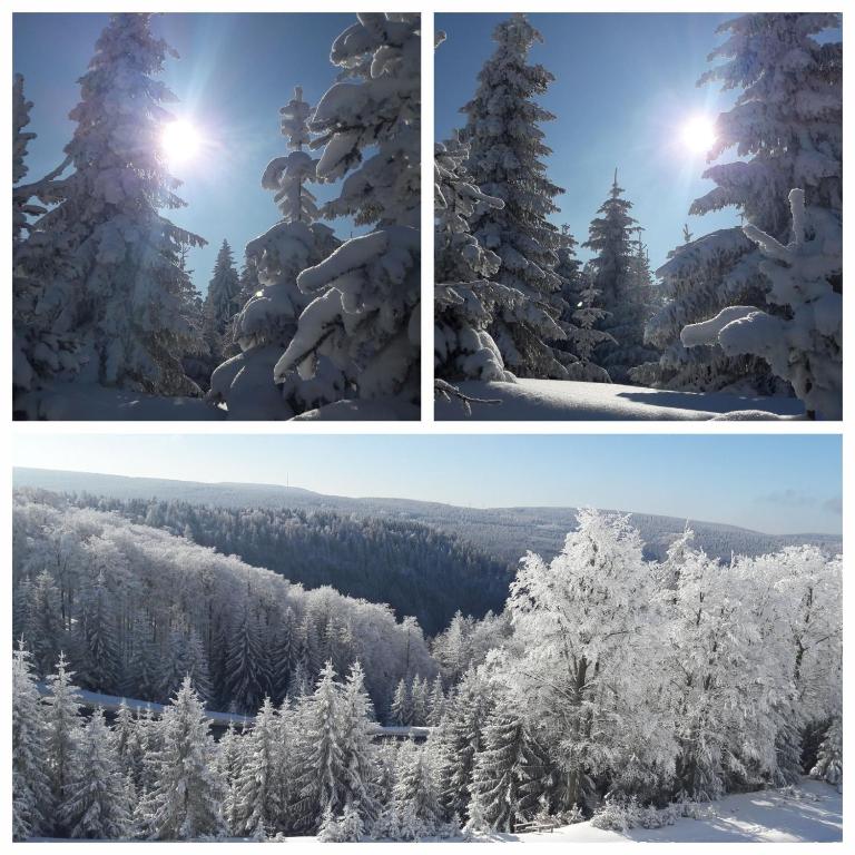 Winterlicher Schlossblick